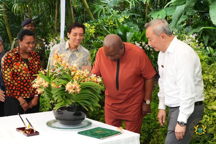 Ghana’s President, John Dramani Mahama honoured with a living tribute during his official visit to Singapore.